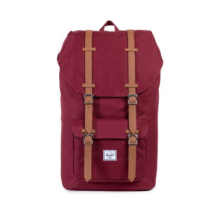 Laptop Backpacks